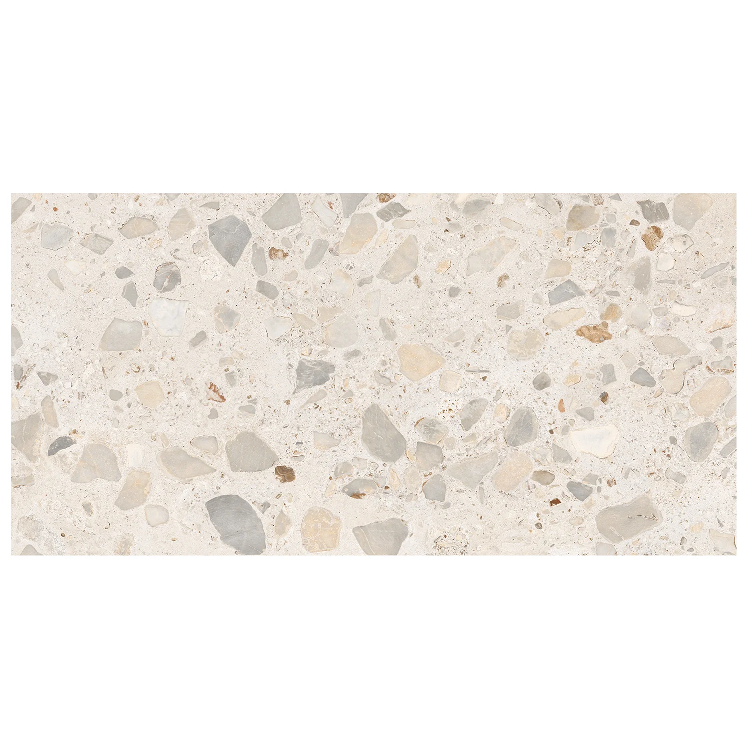 Terrazzo Fliese Shell Ivory 60 x 120 cm