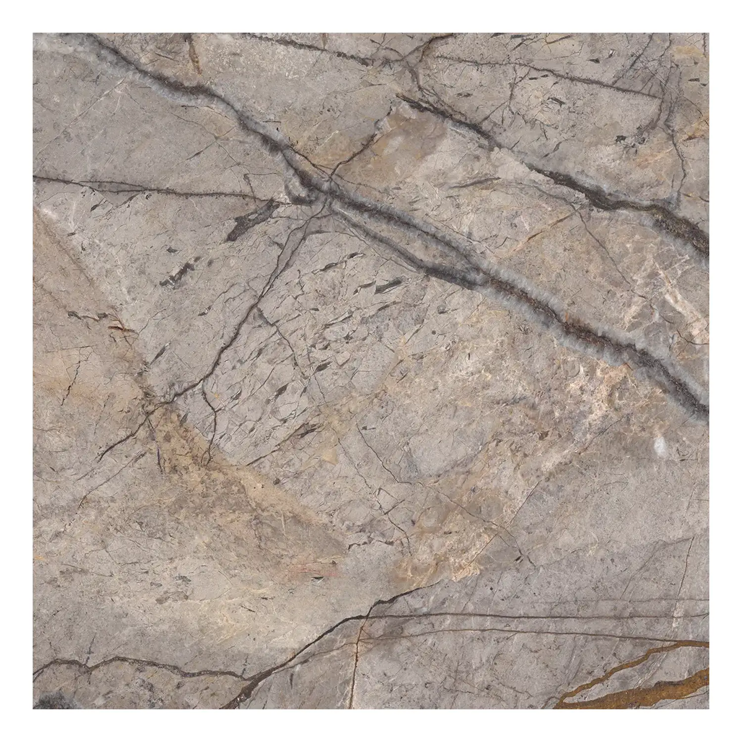 Marmor Optik Fliese Silver Roots 59,2 x 59,2 cm Matt