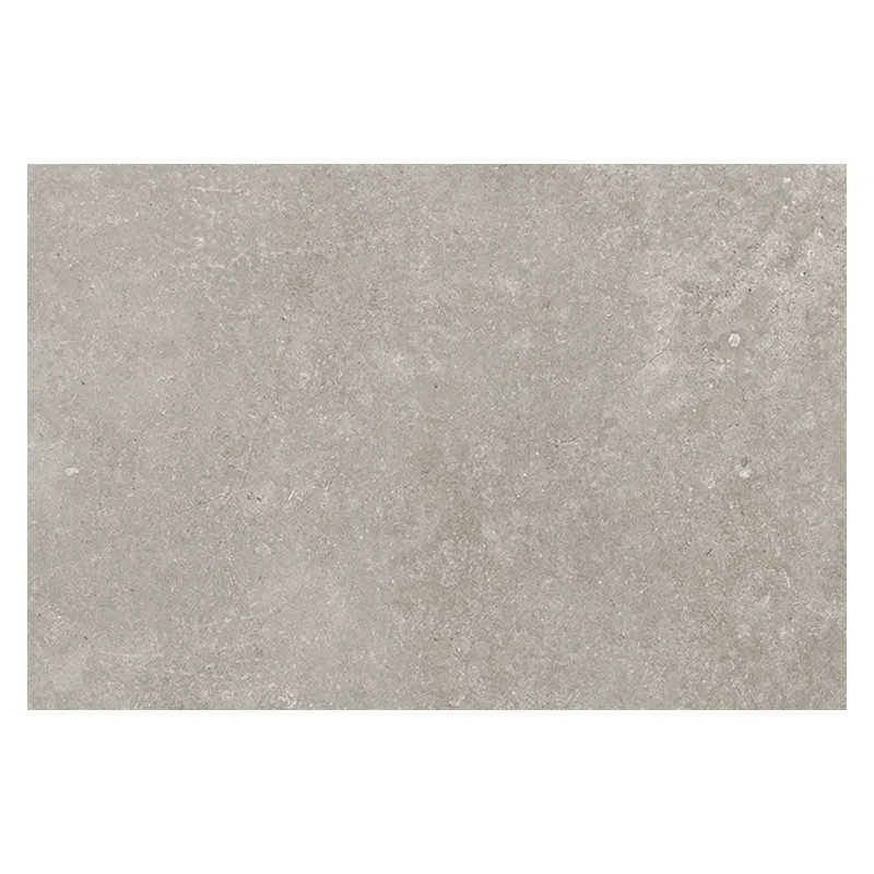 Steinoptik Fliese Cercom Stone Vision Ash 60 x 90 cm