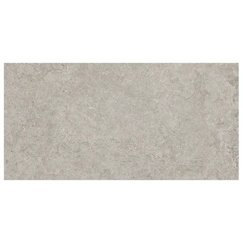 Steinoptik Fliese Cercom Stone Vision Ash 60 x 120 cm