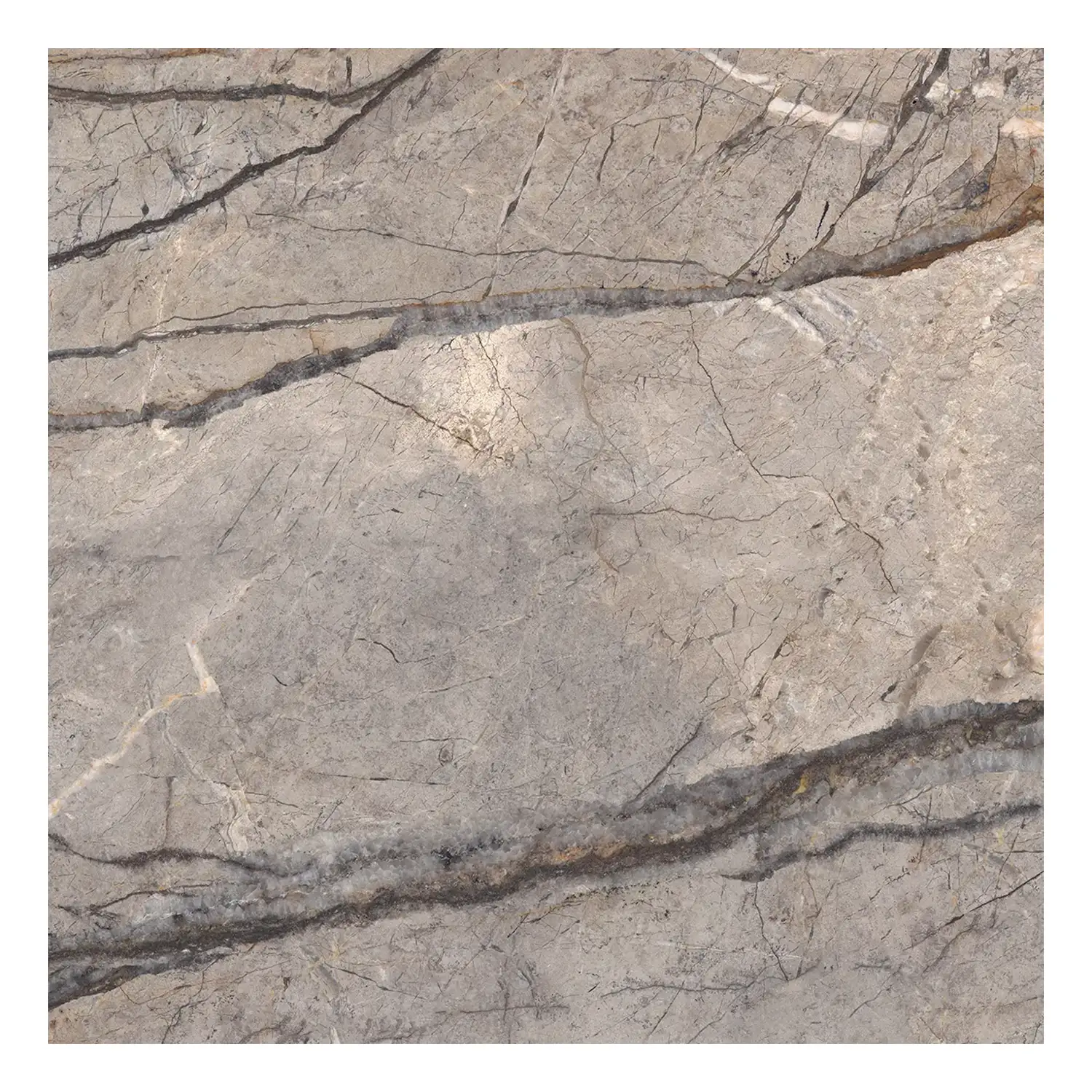 Marmor Optik Fliese Silver Roots 59,2 x 59,2 cm Matt