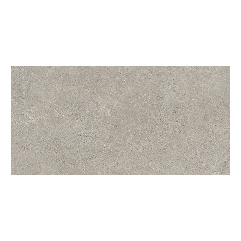 Steinoptik Fliese Cercom Stone Vision Ash R11 30 x 60 cm