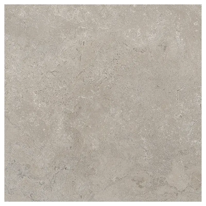Steinoptik Fliese Cercom Stone Vision Ash 100 x 100 cm