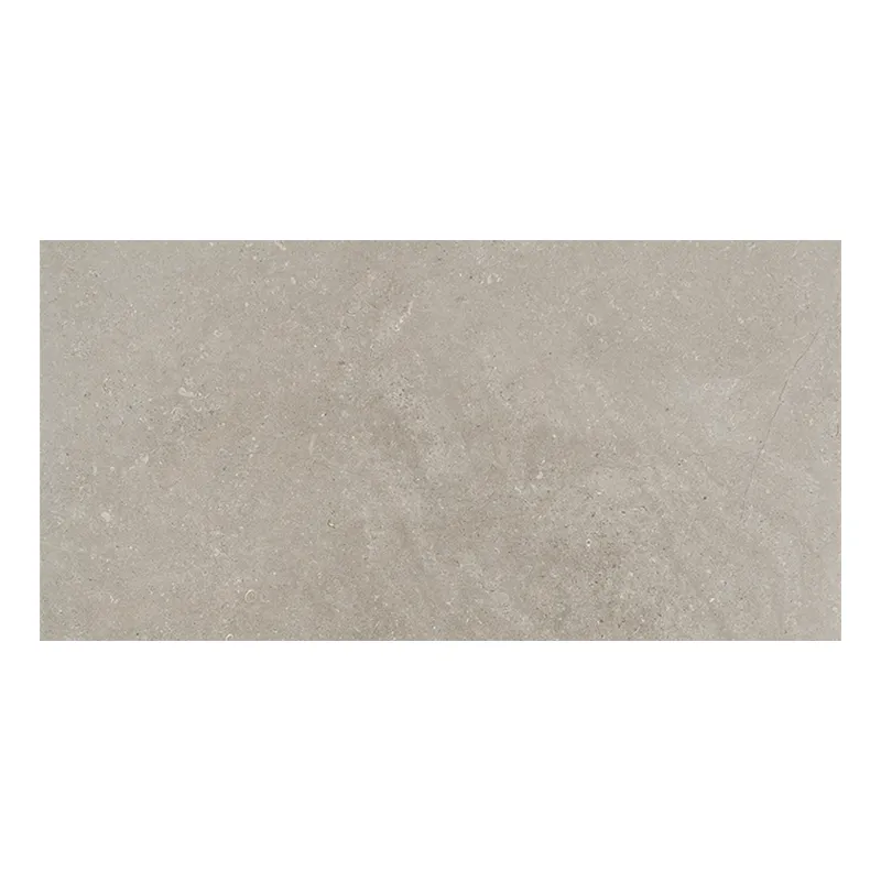 Steinoptik Fliese Cercom Stone Vision Ash 30 x 60 cm