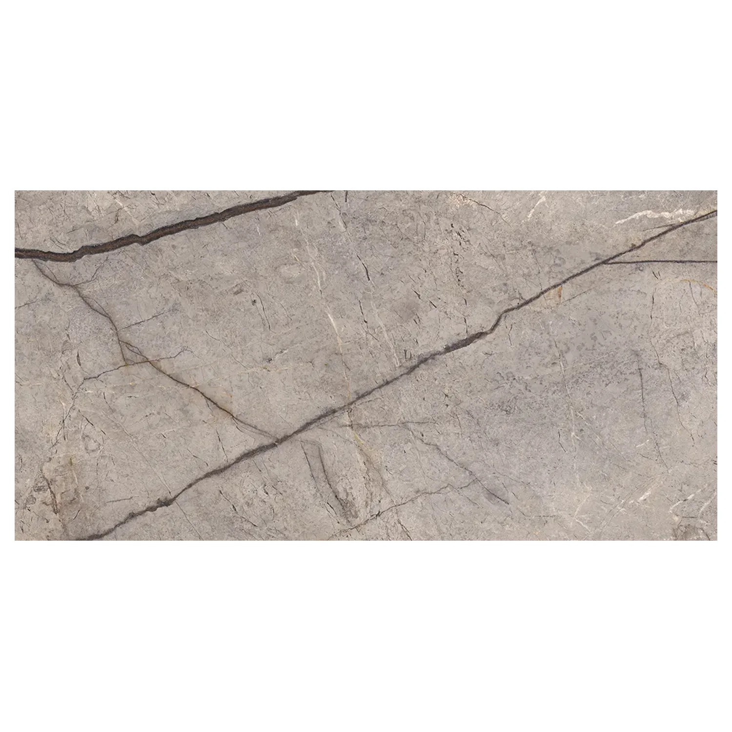 Marmor Optik Fliese Silver Roots 59,2 x 118,6 cm Matt