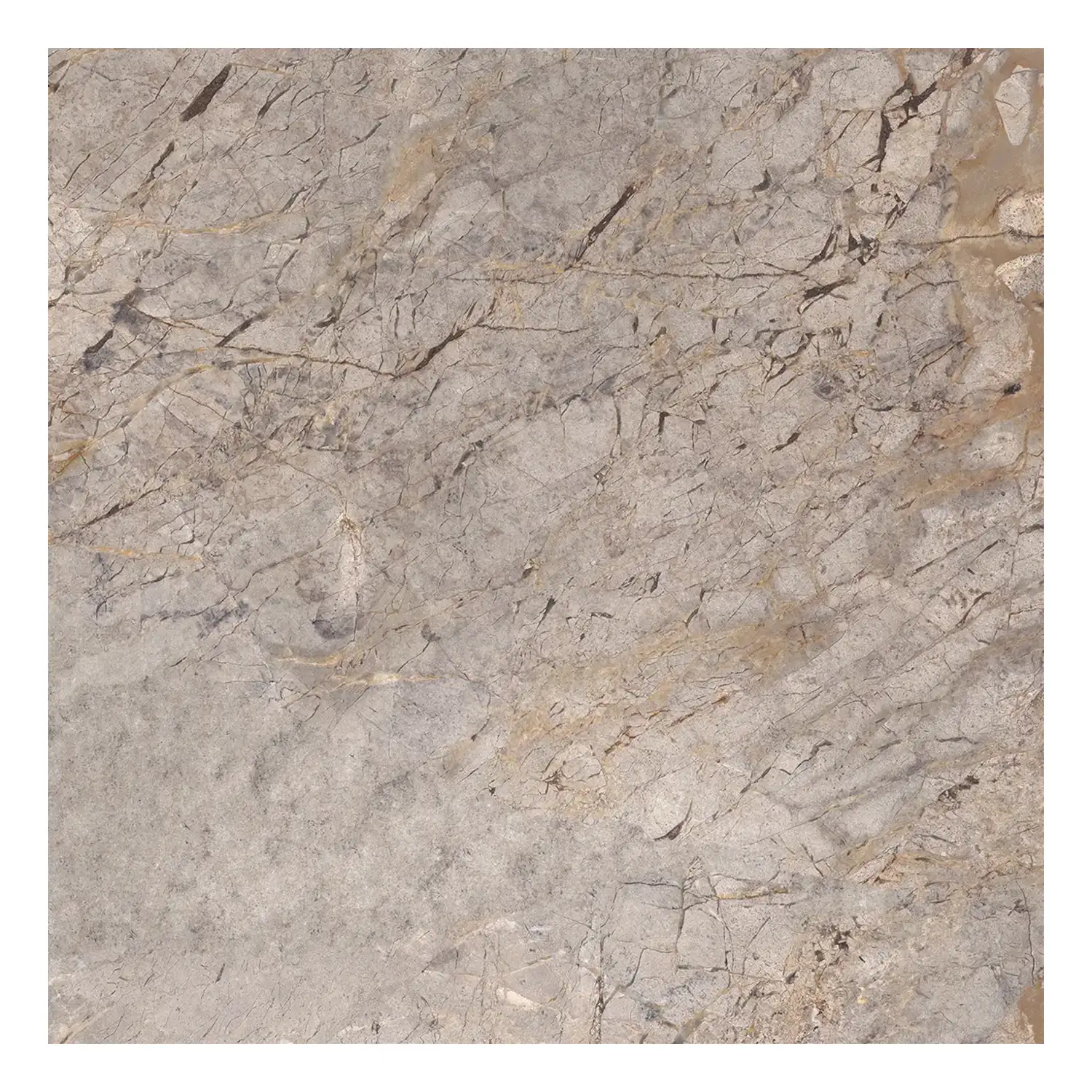 Marmor Optik Fliese Silver Roots 59,2 x 59,2 cm Matt