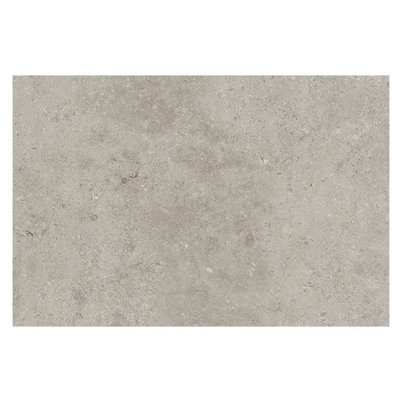 Steinoptik Fliese Cercom Stone Vision Ash 60 x 90 cm