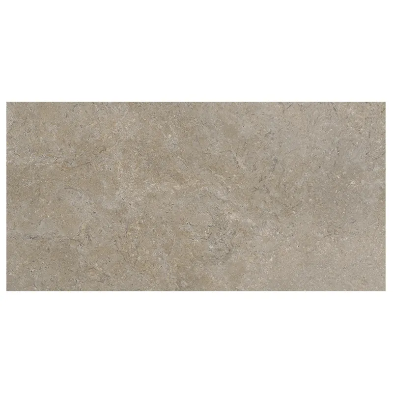 Steinoptik Fliese Cercom Stone Vision Mud 60 x 120 cm
