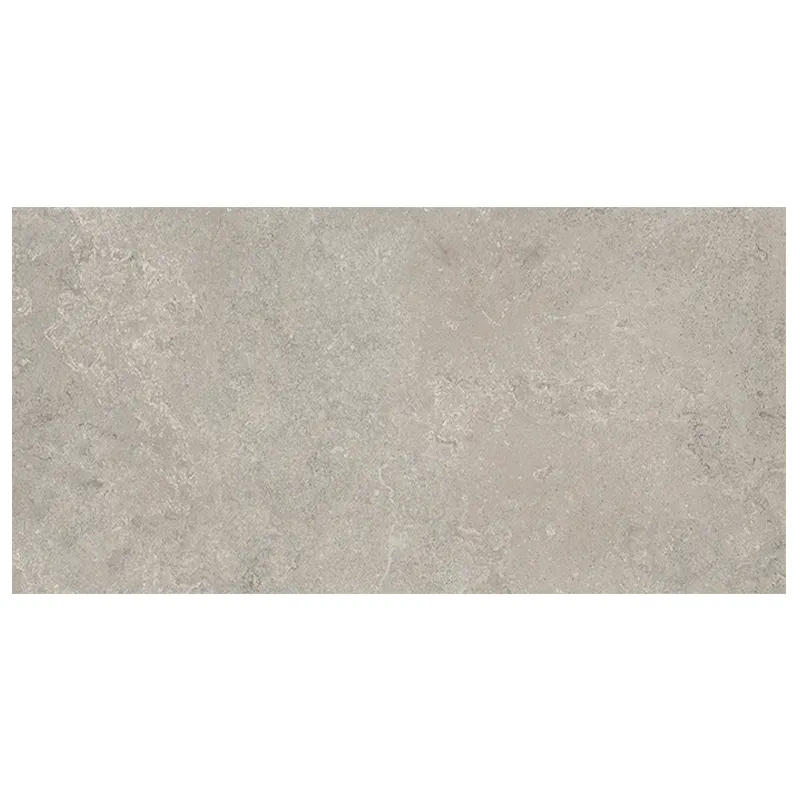 Steinoptik Fliese Cercom Stone Vision Ash 60 x 120 cm