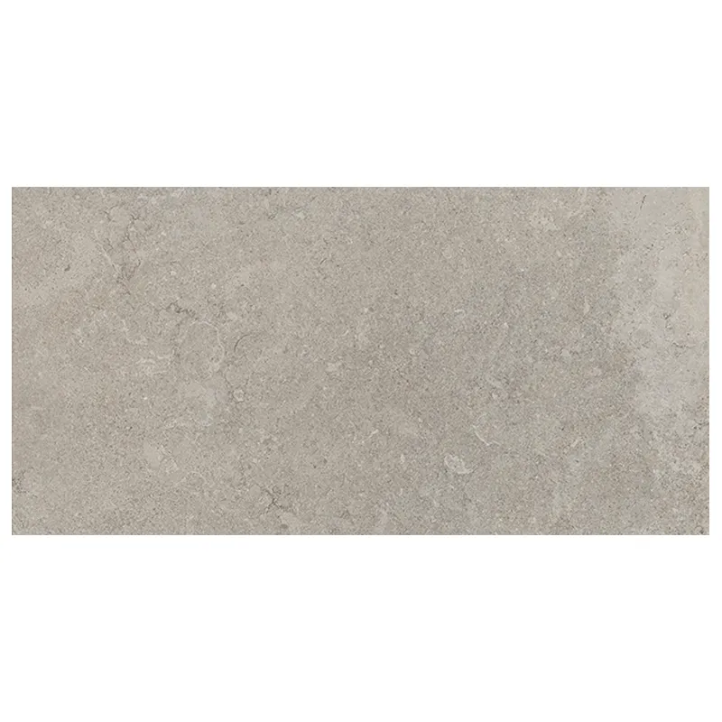 Steinoptik Fliese Cercom Stone Vision Ash 60 x 120 cm
