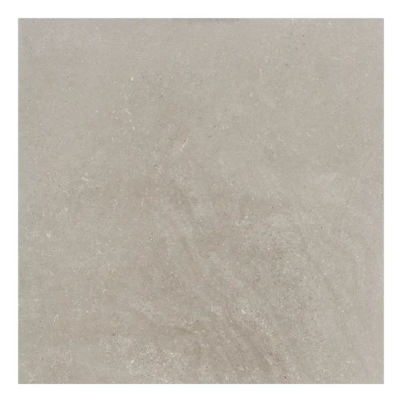 Steinoptik Fliese Cercom Stone Vision Ash R11 60 x 60 cm